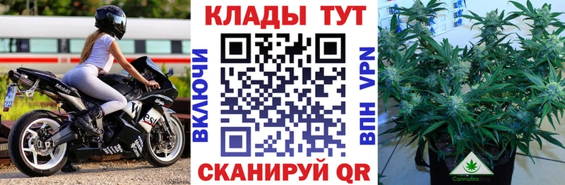 Магазины продажи наркотиков Оса Гашиш  COCAIN  Мефедрон  Бошки Шишки 