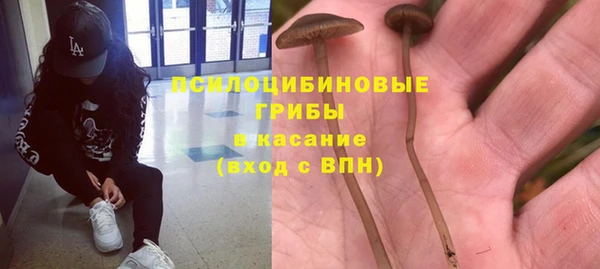 spice Алексеевка