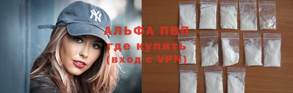 тгк Алзамай