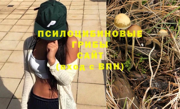 spice Алексеевка