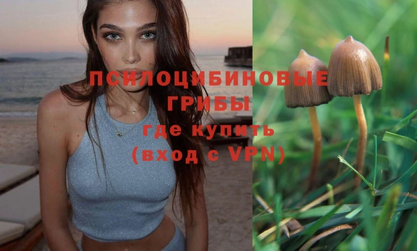 мяу мяу мука Лагань