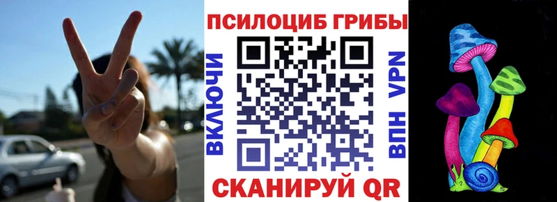 площадка клад  Оса  Псилоцибиновые грибы ЛСД  гидра маркетплейс 